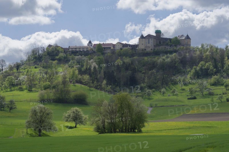 View of the old town and the castle, Waldenburg, Waldenburg mountains, spring, April, Hohenlohe, Heilbronn-Franken, Baden-Württemberg, Germany, Europe