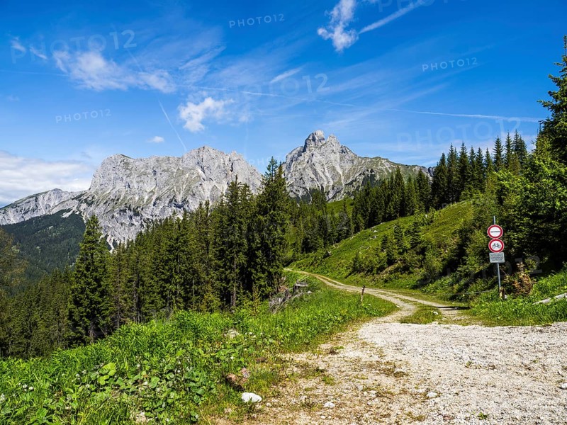 Forest road, behind Admonter Reichenstein, Ennstal Alps, Styria, Austria, Europe