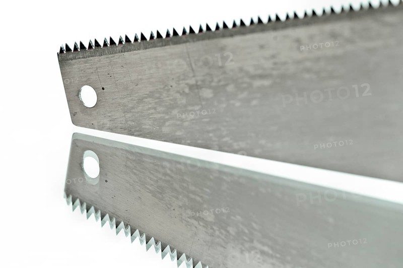 Reflecting saw blade of a fox tail