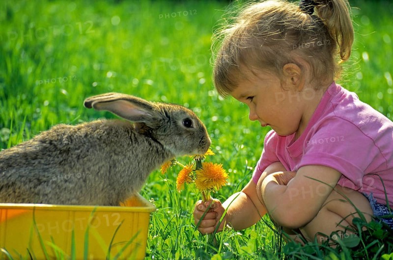 Girl with dandelion bouquet plays with rabbit