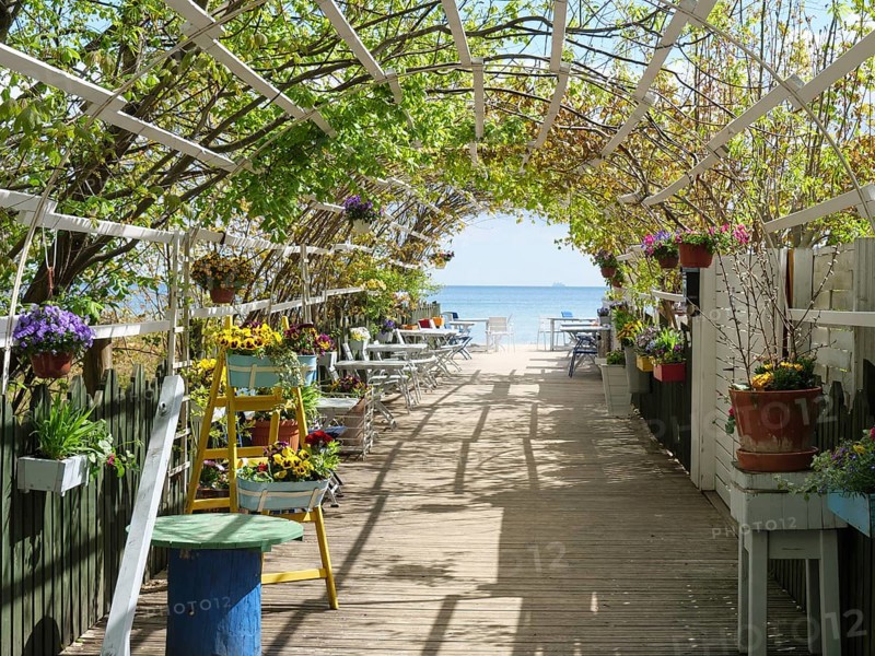A blooming garden terrace with a view of the sea on a sunny day, sopot, baltic sea, poland
