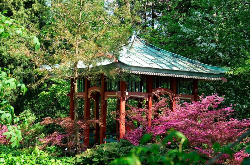 Asian Pavilion, Botanical Garden, Dahlem, Berlin, Germany, Europe