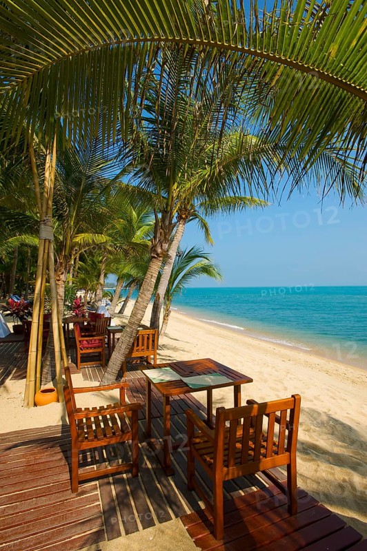 Mae Nam Beach, Ko Samui Island, Thailand, Southern Thailand, Palm Beach, Palm Trees, Asia