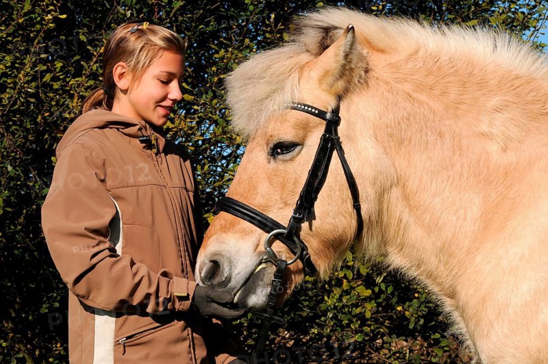 Girl and old horse, fjord horse, mare, 23 years old, norwegian, bridle