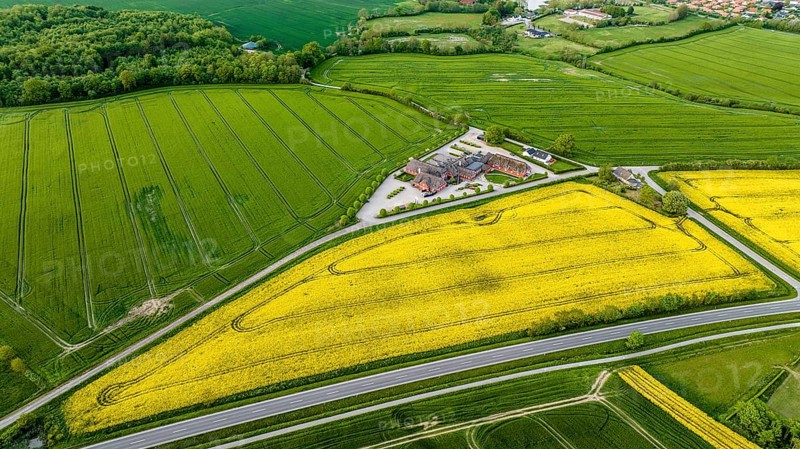 Aerial view, Denmark, Region Syddanmark, Christiansfeld, Agriculture and farms with grain and rape fields, Christiansfeld, Region Syddanmark, Denmark, Europe