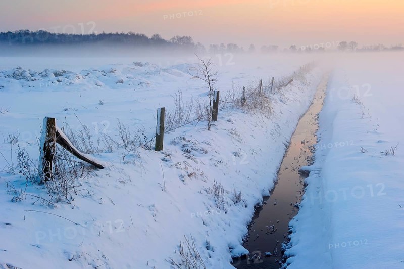 Moat, Boller Moor, Oldenburger Münsterland, Lower Saxony, Germany, Europe