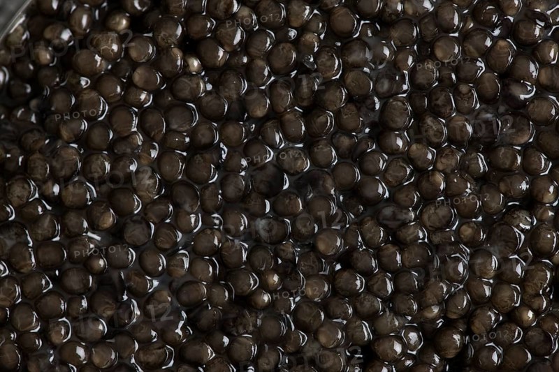 CAVIAR, STURGEON