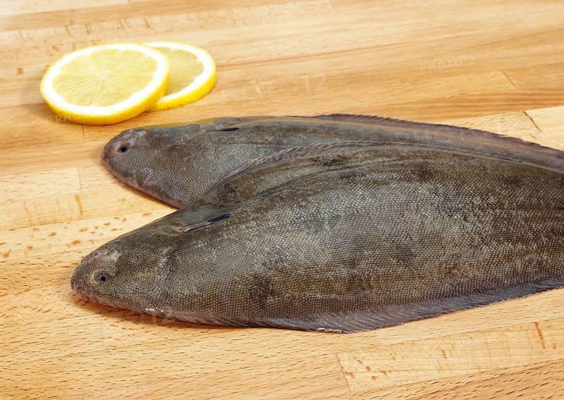 Sole, Sole (solea solea), Other animals, Fish, Flatfish, Animals, Sole Fish, Fresh Fish with Lemon