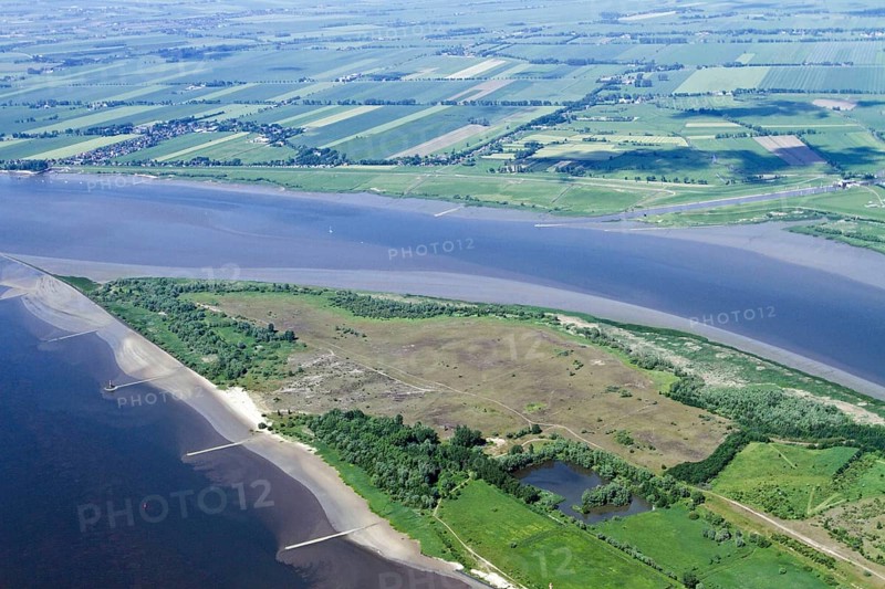 Elbe Island Pagensand, Elbe, Schleswig-Holstein, Germany, Europe