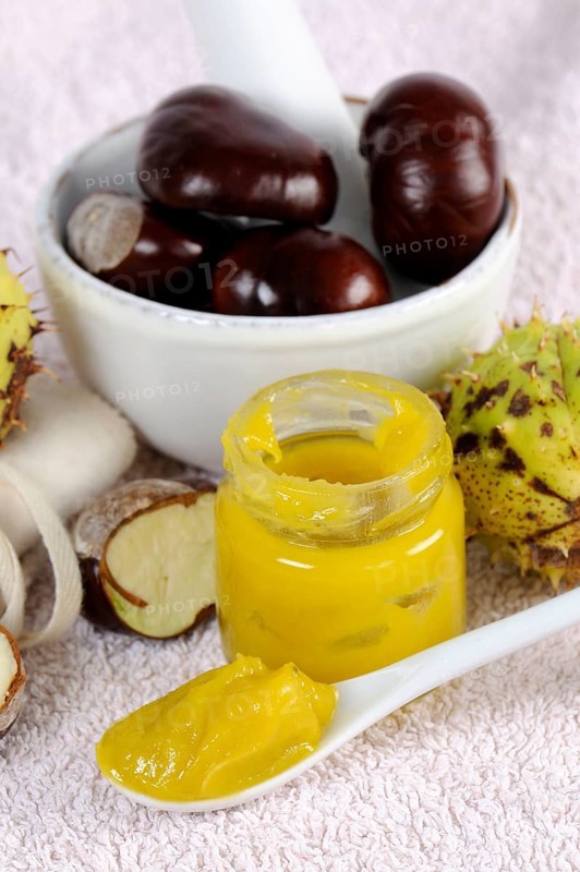 Horse Chestnut Ointment (Aesculus hippocastanum), Horse Chestnut, Chestnut Tree