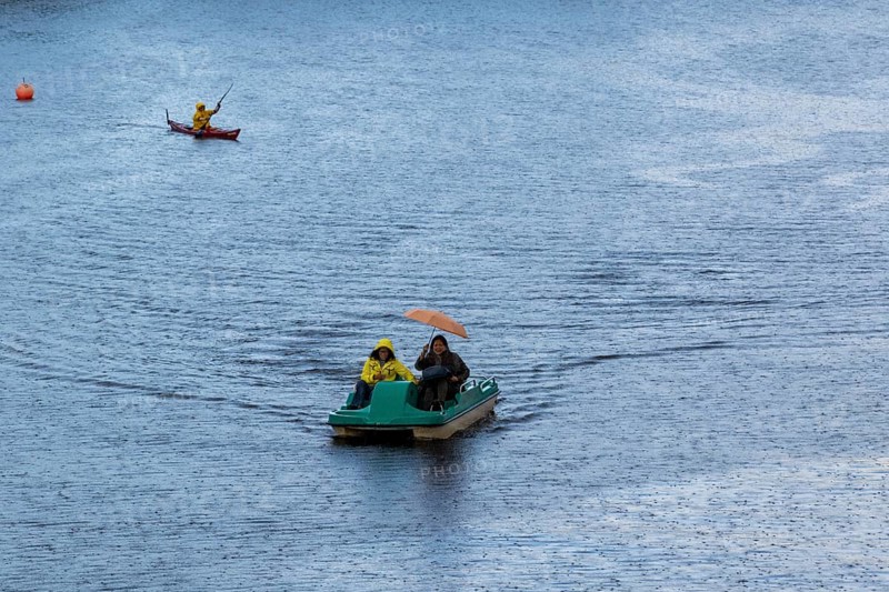 Symbolic picture weather, leisure activity, heavy rain in summer, people with umbrellas in rain jackets in a pedal boat on the Alster in Hamburg, Germany, Europe