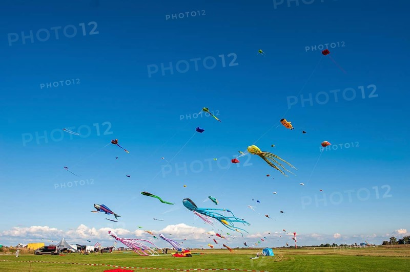 Kites in the sky at the Elbe Beach Festival 2022 in Otterndorf, Cuxhaven District, Lower Saxony, Germany, Europe