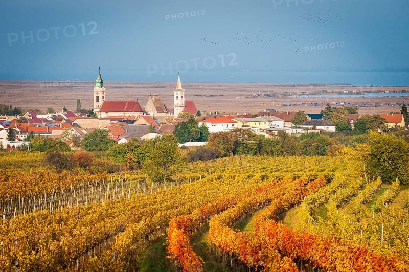 Town of Rust in Burgenland in Autumn