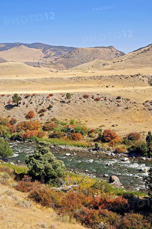 River in autumn, Yellowstone National Park, Montana, USA, North America