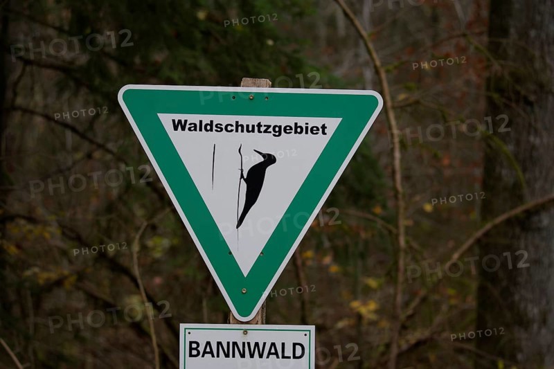 Sign in the forest, protected forest, forest reserve, woodpecker area, woodpecker, Schwäbisch Hall, Schwäbisch-Franconian Forest nature park Park, Hohenlohe, Heilbronn-Franconia, Baden-Württemberg, Germany, Europe