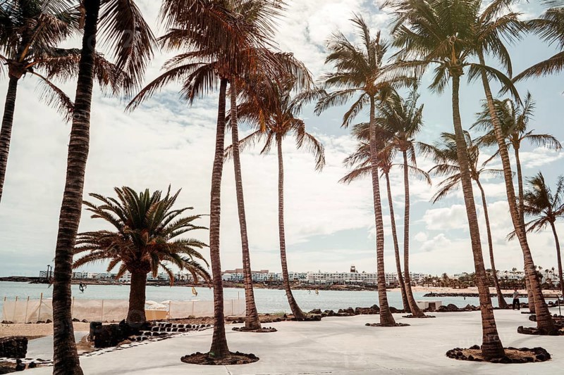 Palm trees by Las Cucharas beach in a resort town called Costa Teguise in Lanzarote, Canary Island, Spain, Europe