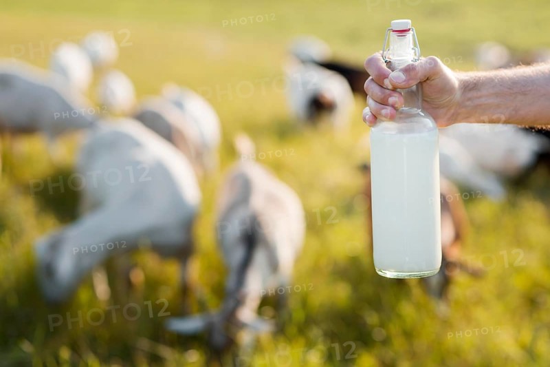 Close up man with bottle goat milk