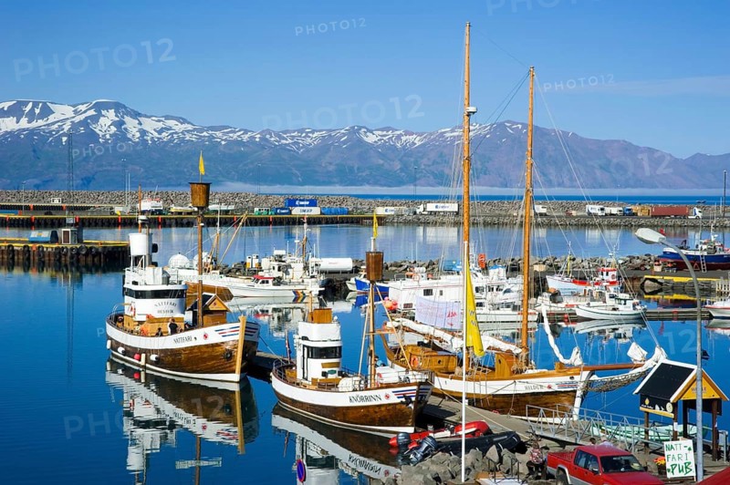 Whale watching boats, harbour, Husavik, Iceland, Europe