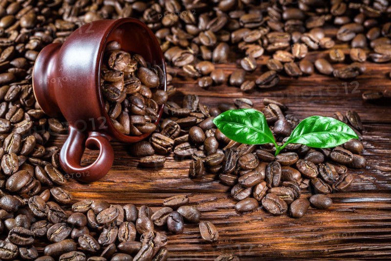 Coffee beans poured from the cup and leaves