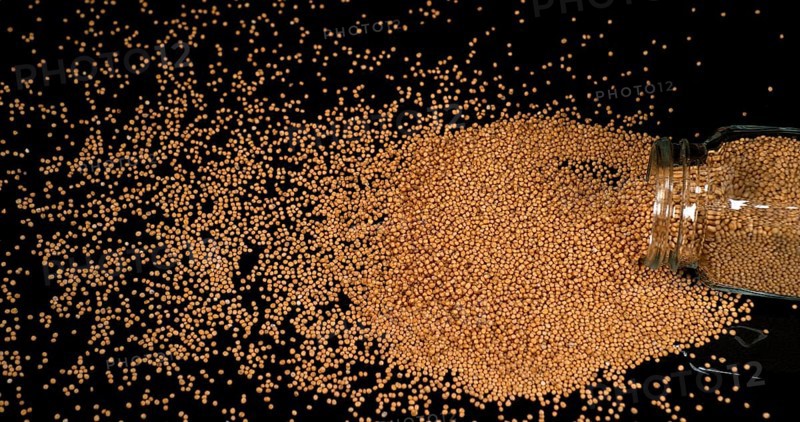 Mustard Seeds Falling on Black Background, Crockery