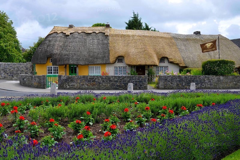 Country house, thatched house