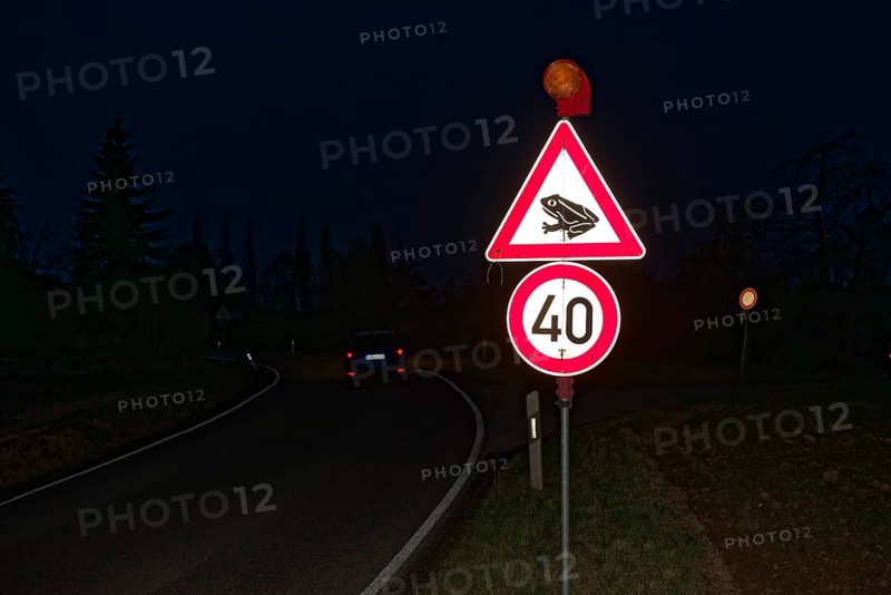 Traffic sign Toad migration, Toad migration, Forchtenberg, Hohenlohe, Heilbronn-Franconia, Baden-Württemberg, Germany, Europe