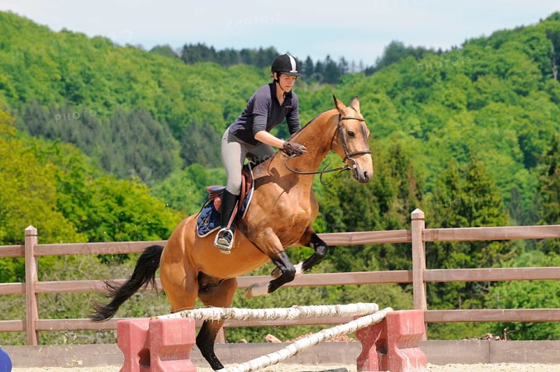 Rider with Achal-Tekkiner, Stallion, Riding, Jump, Obstacle, dun, Riding track