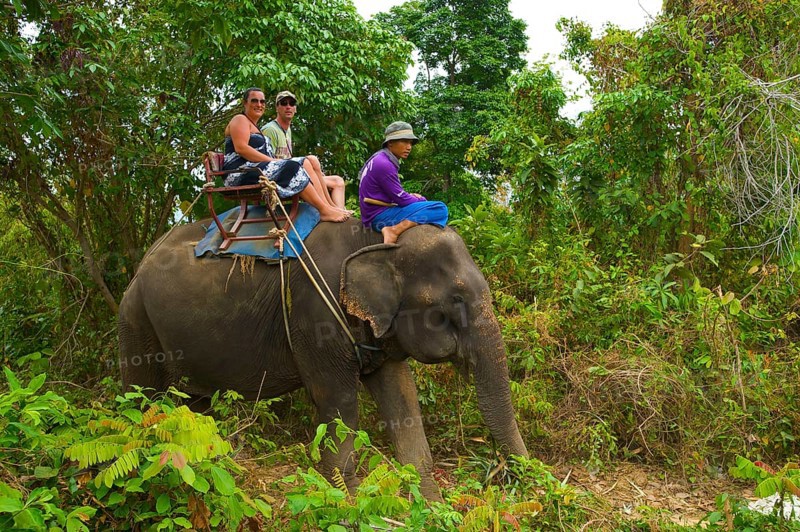 Elephant Riding, Rawai, Phuket Island, Thailand, Asia