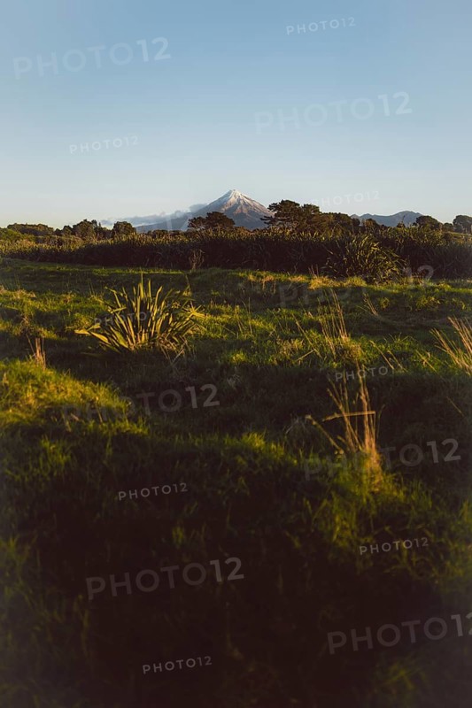 A green hilly landscape under a clear blue sky with a mountain peak in the background creating a peaceful atmosphere, Mount Taranaki, New Zealand, Oceania
