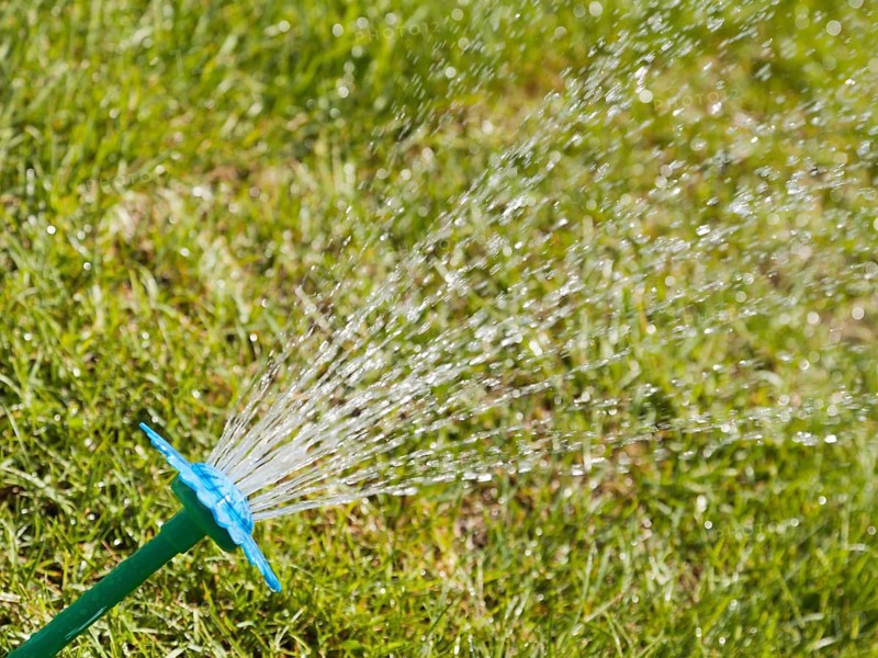 Sprinkler water spray drop on wet green grass lawn
