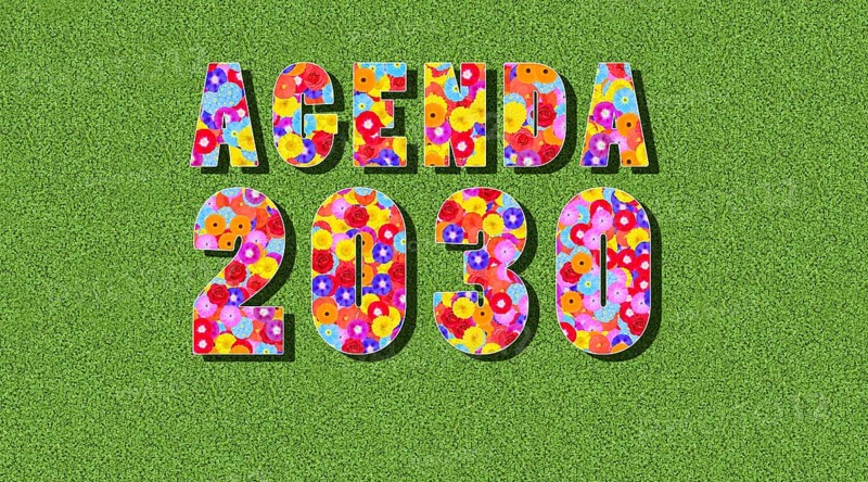 Graphic, text, number, year, inscription with Agenda 2030 with many colourful flowers, butterflies, on a green background, in sunlight with shadows cast as a symbol for climate protection, nature conservation and environmental protection