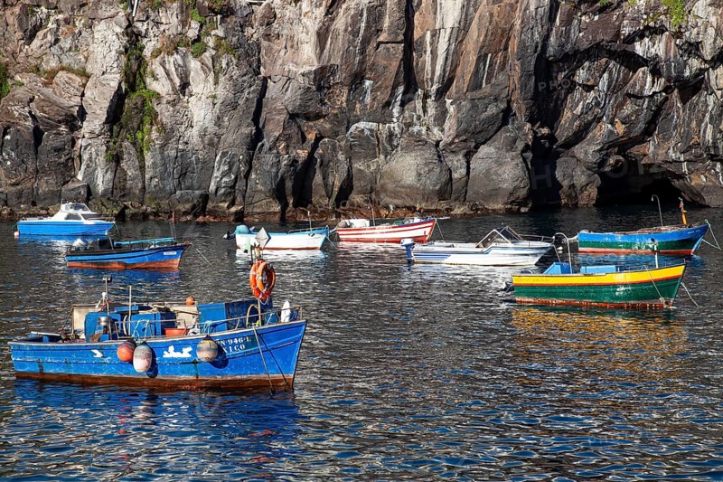 Câmara de Lobos, colorful fishing boats in the harbour, old fishing village, south coast, Madeira, Portugal, Europe