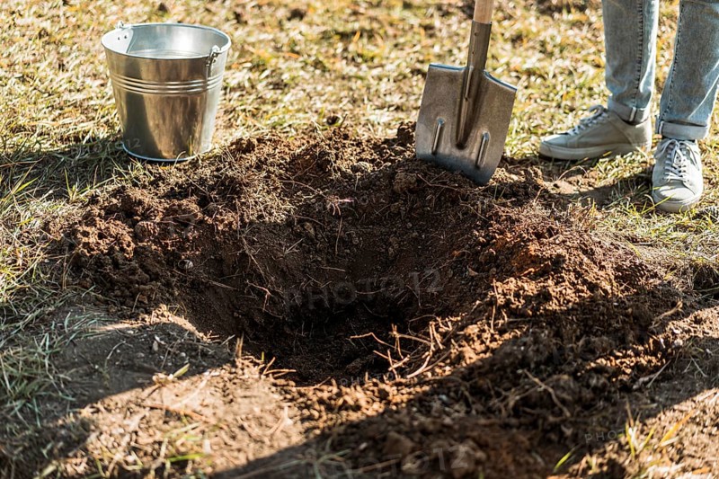 Man digging hole with shovel plant tree