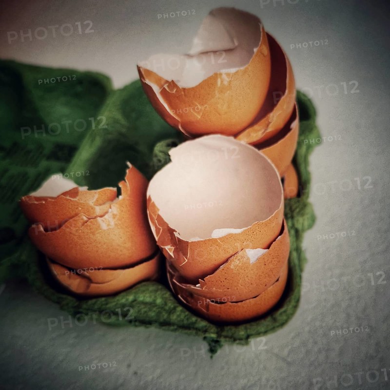 Egg shells