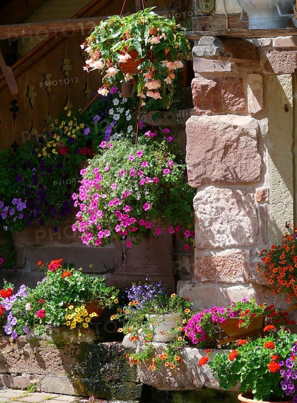Poppeltal, Enzklösterle, Black Forest, Poppelhof, hanging baskets