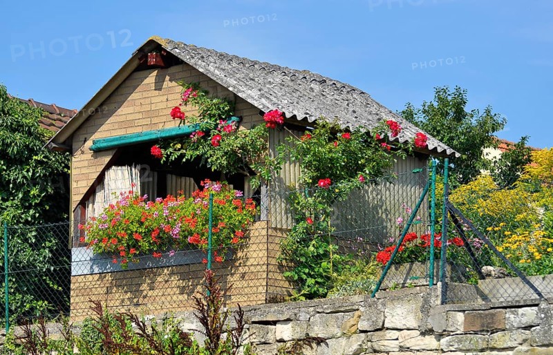 Garden house with flowers