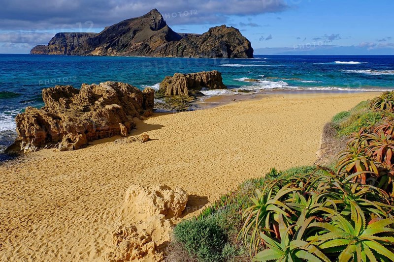 Beach, sand, sea, waves, rocks, aloes, south coast, Calheta, Atlantic Ocean, Porto Santo, Madeira Island