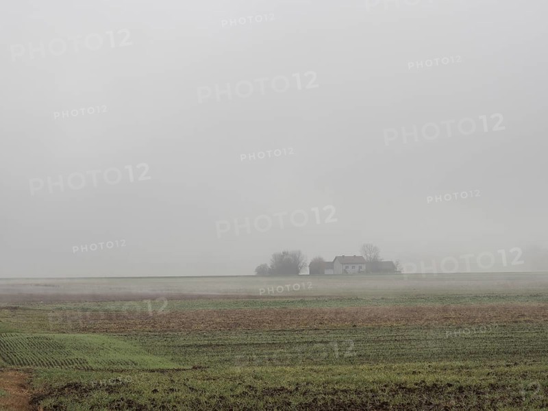 Lonely homestead in the morning mist, Zelting near Bad Radkersburg, Styria, Austria, Europe