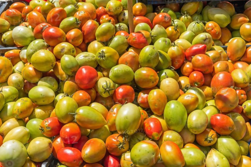 Red and green egg tomatoes at a market in Palermo, Sicily