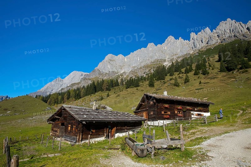 Alpine pasture near the Arthurhaus in Mühlbach in front of the Mandlwänden of the Hochkönig in Pinzgau/Pongau in Salzburger Land, Austria, Europe