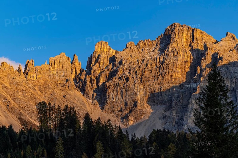 Latemar in golden evening light, Obereggen, Bolzano, South Tyrol, Italy, Europe