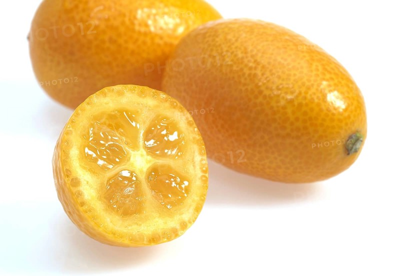 Kumquat (fortunella margarita), Fruit against White Background