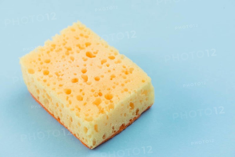Sponge. High resolution photo