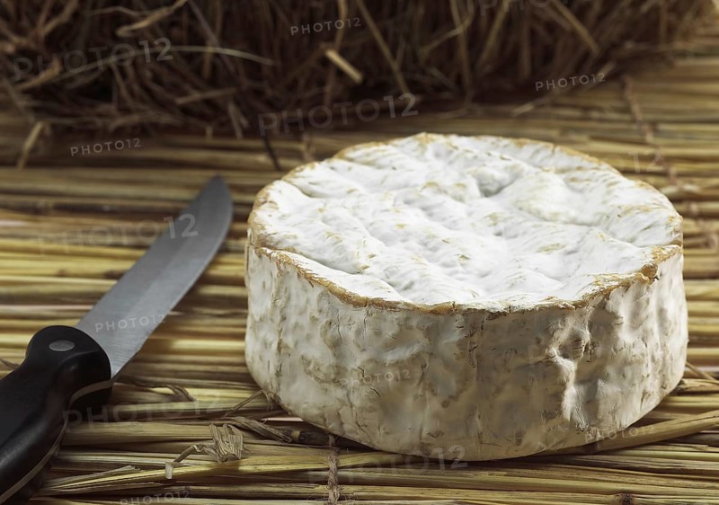 CAMEMBERT CHEESE