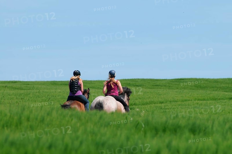 Riding Rhenish-German Coldblood and German Riding Pony, Coldblood horse, bareback, riding helmet, riding, rider