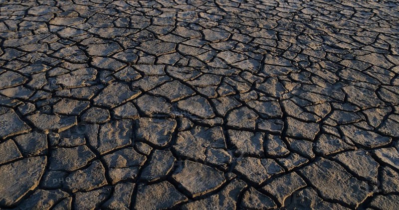 Drought in the Marshes of Camargue, Les Saintes Maries de la Mer, in the South East of France