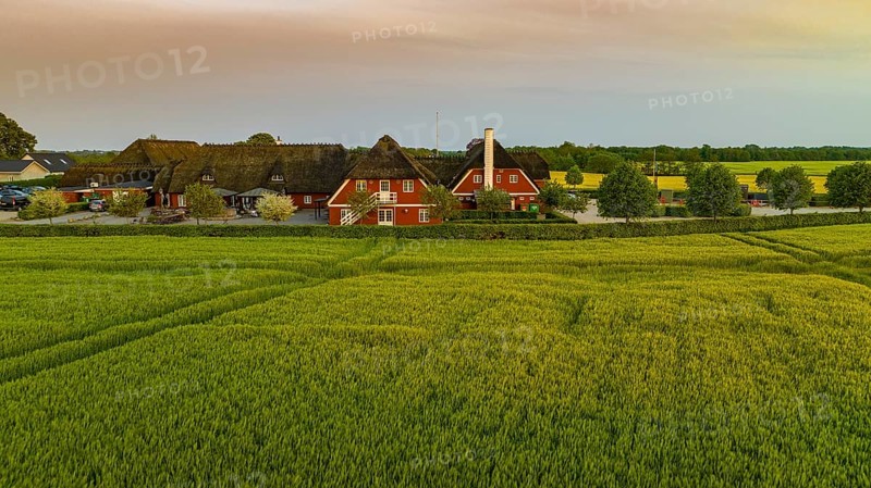 Aerial view, Denmark, Region Syddanmark, Christiansfeld, Agriculture and farms with grain and rape fields, Christiansfeld, Region Syddanmark, Denmark, Europe