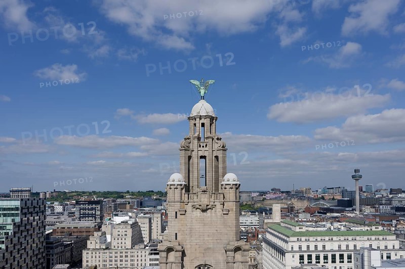 Tower, Royal Liver Building, Liverpool, England, United Kingdom, Europe