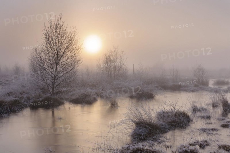 Goldenstedter Moor, Lower Saxony, Germany, Europe