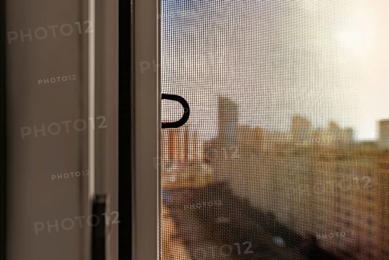 Open window with a mosquito screen to prevent insects and bugs, like flies, bees, mosquitoes or wasps from entering